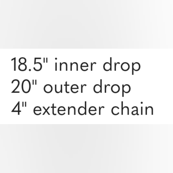 Chico's Carla Vintage Bib Style Necklace - Picture 10 of 10